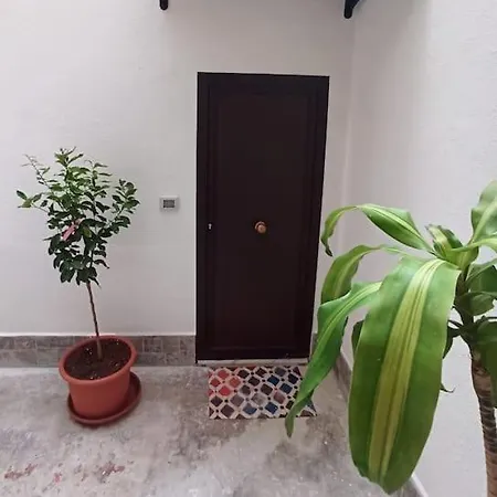 D'annunzio * باليرمو